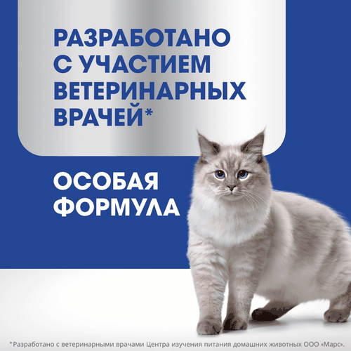 Лакомство для кошек PERFECT FIT Oral Care с курицей и добавлением мяты, 50г, крупный план