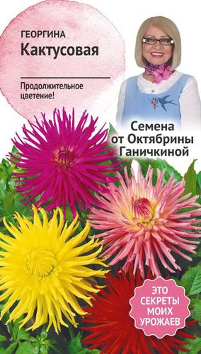 Семена Георгины Октябрина Ганичкина кактусовой 0,2 г, вид