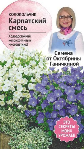 Семена Колокольчика карпатского Октябрина Ганичкина смесь 0,1 г, изображение