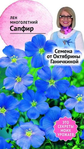 Семена Льна Октябрина Ганичкина Сапфир 10 шт, вид