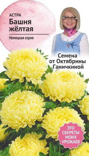 Семена Астры Октябрина Ганичкина Башня желтая 0,3 г, фото