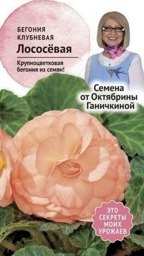 Семена Бегонии клубневой Октябрина Ганичкина лососевая 6 шт, картинка