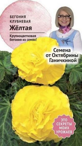 Семена Бегонии клубневой Октябрина Ганичкина желтая 6 шт, фото