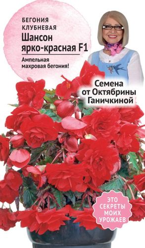 Семена Бегонии клубневой Октябрина Ганичкина Шансон красная F1 6 шт, изображение