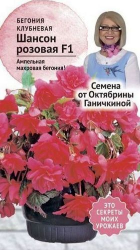 Семена Бегонии клубневой Октябрина Ганичкина Шансон розовая F1 6 шт, детальное фото