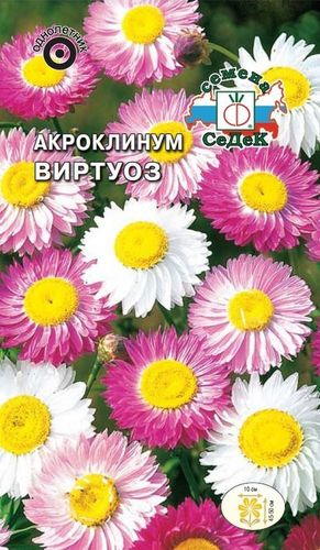 Семена акроклинума СеДеК Виртуоз 1 г, фотография