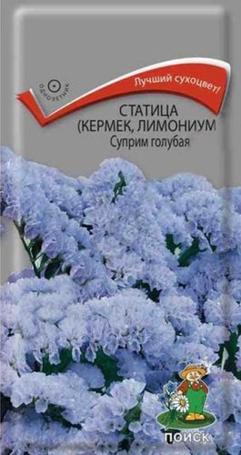 Семена Статицы ПОИСК Суприм Голубая 0,15 г, крупный план