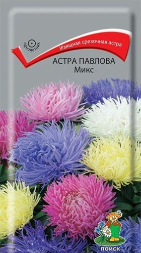 Семена Астры ПОИСК Павлова в ассортименте 0,3 г, изображение