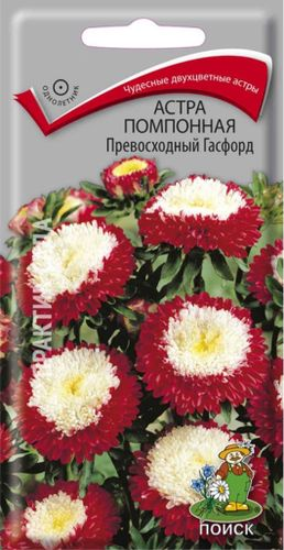 Семена Астры помпонной ПОИСК Превосходный Гасфорд 0,3 г, картинка