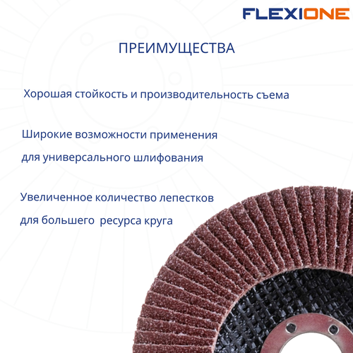 Шлифовальный круг плоский FLEXIONE Expert P120 125 мм 1 шт, детальное фото