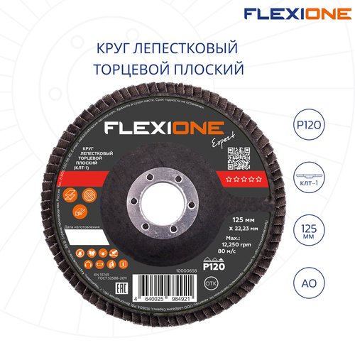 Шлифовальный круг плоский FLEXIONE Expert P120 125 мм 1 шт, крупный план