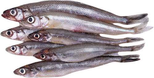 Корюшка средняя, неразделанная ЛЕНТА FRESH, весовая, фото