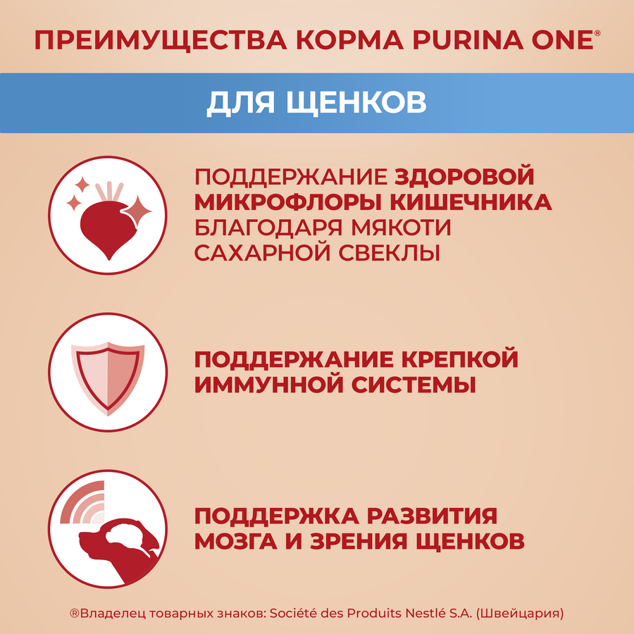 Корм сухой для щенков PURINA ONE для средних и крупных пород, с курицей и рисом, 700г, предпросмотр