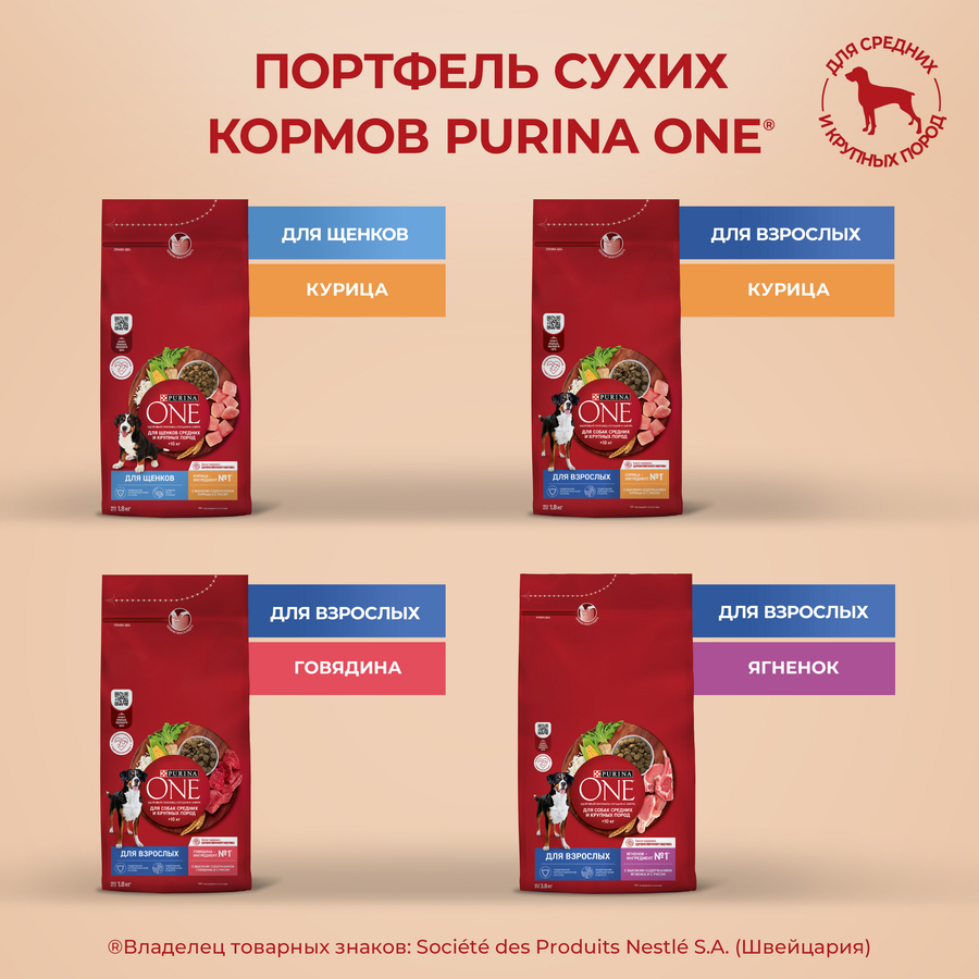 Корм сухой для щенков PURINA ONE для средних и крупных пород, с курицей и рисом, 700г, предпросмотр