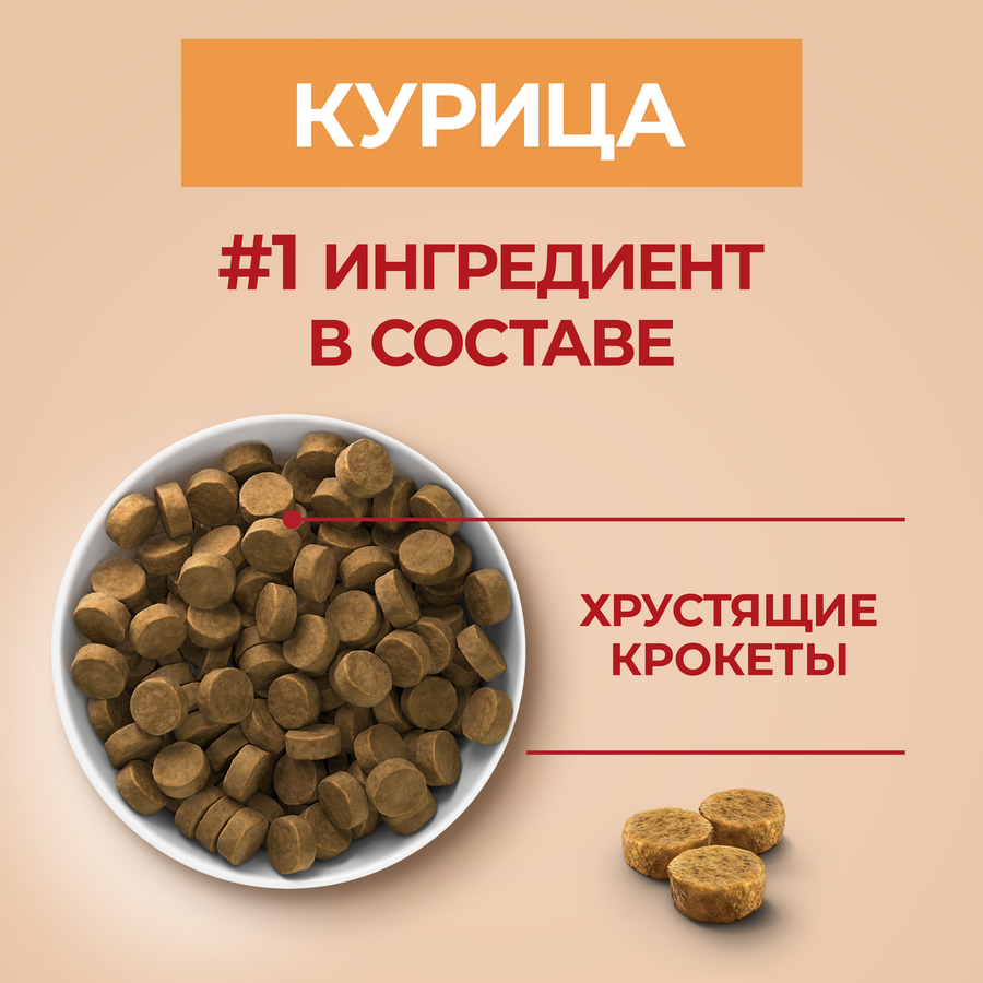 Корм сухой для щенков PURINA ONE для средних и крупных пород, с курицей и рисом, 700г, предпросмотр