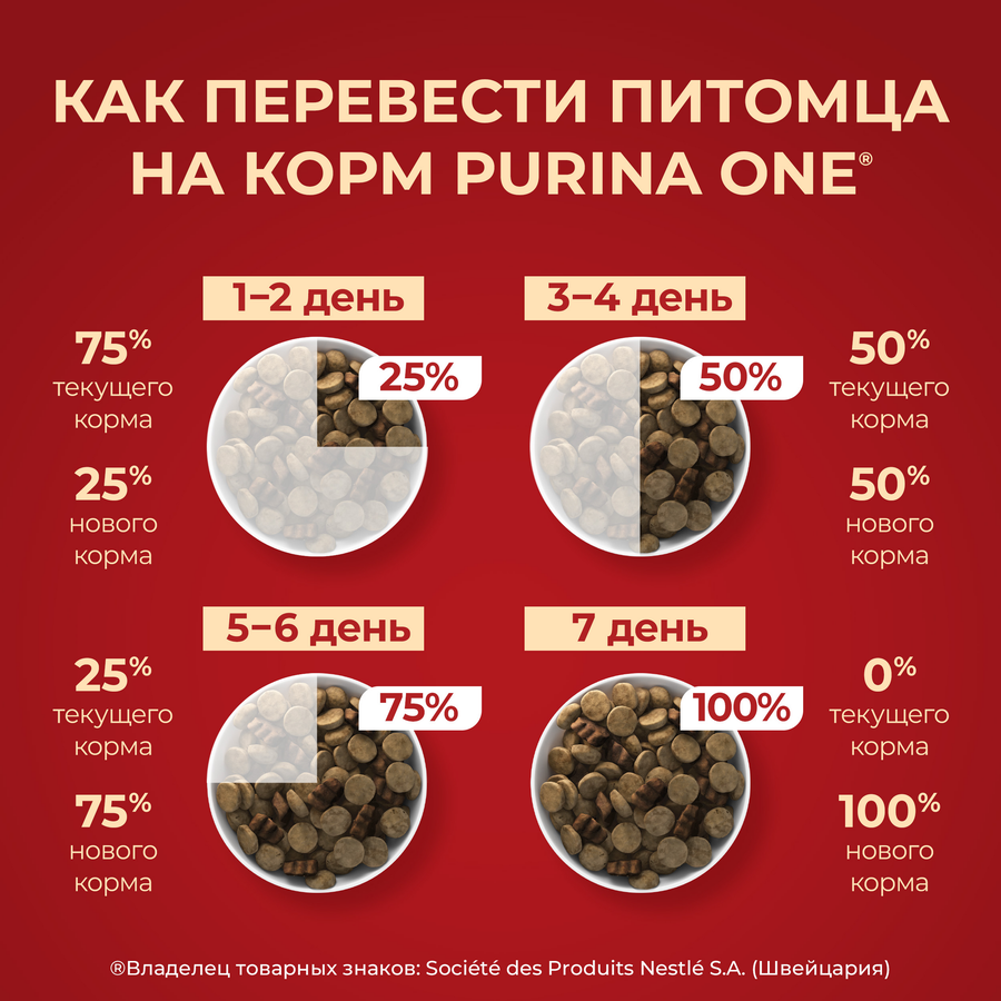 Корм сухой для щенков PURINA ONE для средних и крупных пород, с курицей и рисом, 700г, предпросмотр