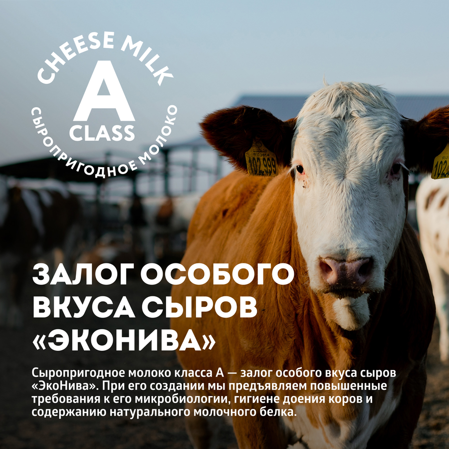 Сыр полутвердый ЭКОНИВА Щучанский 50%, без змж, 200г, предпросмотр
