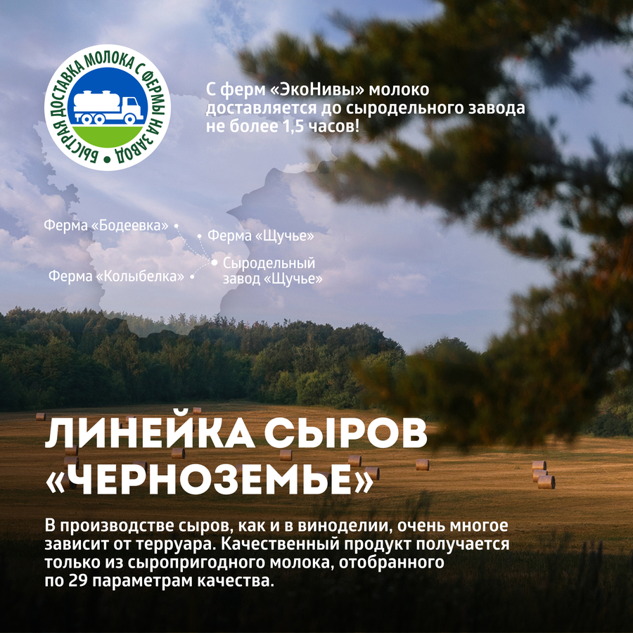 Сыр полутвердый ЭКОНИВА Щучанский 50%, без змж, 200г, превью